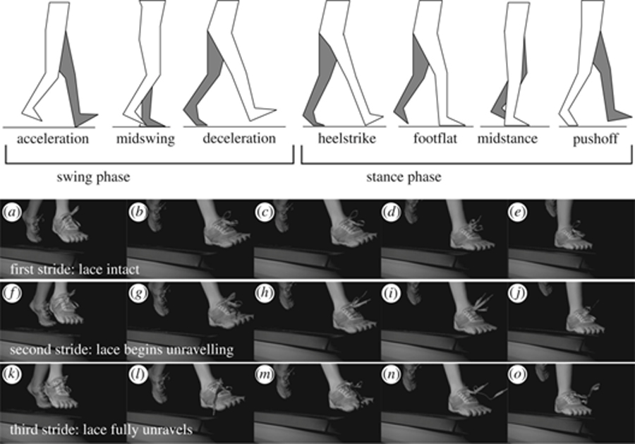 WHY TIE? FAST-LOCK LACES - Bushwhacker